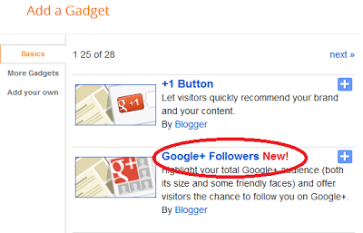 Google+ Follower widget