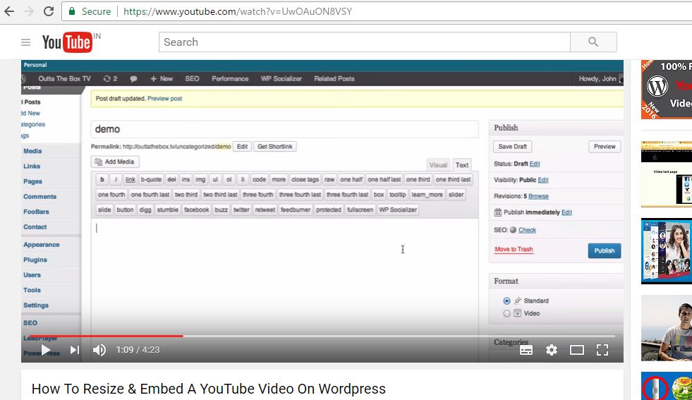 youtube video in wordpress post,resize youtube video in wordpress