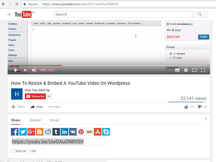 youtube video in wordpress pot,embed youtube video in a wordpress post