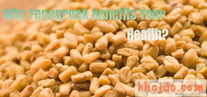 Top Convincing Reasons why Fenugreek Benefits Your Health